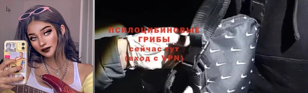 прущий лед Алексин
