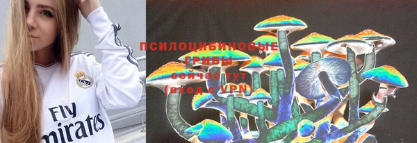 прущий лед Алексин