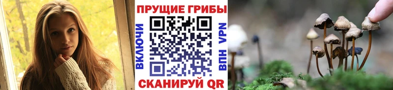Галлюциногенные грибы Psilocybe  Льгов 